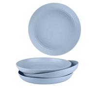 VORAE 4pcs Dinner Plates 7.8'' Plastic Plates for Kid & Adults, Multi-Use Dinner Party Plates Unbreakable, Lightweight, Reusable for Picnic Dessert Pizza Pasta Bread Snack Salad (Blue, 20cm (7.8''))