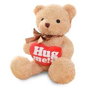 VorIrydian Teddy Bear Plush Soft Toy, Valentines Day Present, 30CM Soft Teddy Bear Plush Toy Holding Red Love Heart with 'Hug Me' Letter, Perfect for Valentines Mother's Day Birthday Gifts
