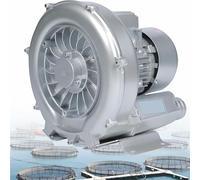 Vortex Ring Blower, Regenerative Blower 120W-1500W 110V/220V/380V Single Phase/Three-Phase, Low Noise High-Pressure Industrial Vacuum Pump for Air Blowing Or Suction(750W/380V)