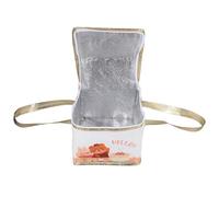 VOSAREA 1pcs Insulated Cooler Bag Food Carrier White Cloth Cake Carrier with Handles Zipper Flat Bottom Large Capacity Convenient to Store for Shopping