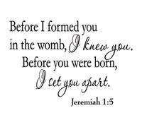 VOSAREA Decorative 1:5 Before I Formed You in The I Knew You Wall Decal