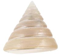 VOSAREA Glow-in-the-dark Conch Shell Figurine 5-6cm, Luminous Natural Sea Snail Decor for Aquarium Craft and Indoor Outdoor Garden Ornament