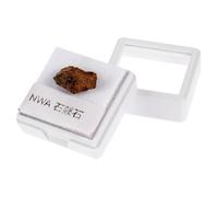 VOSAREA Olive Meteorite Stone Specimen for Teaching and Decorative Purposes Irregular Shape, Well Crafted for Gifting on Festivals Or Decoration for Your House Random Color