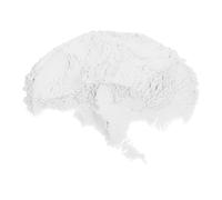 VOSAREA White Incense Burner Sand Fine Quartz Sand for Vase Fillers and Ceremony Supplies Incense Stick Smudge Bowls