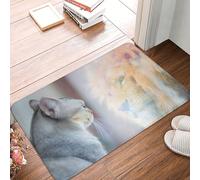 VOSERY Front Door Mat Indoor Outdoor Outside Entrance - 16 * 24in Washable The Cat Looks in The Mirror Thin Bathroom Rugs Fit Under Door, Kitchen Rugs Mats for Floor, Bath Rugs for Bathroom