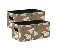 voucong Cartoon Calla Lily Flower Brown Cube Storage Bins 2 Pack Organizing Shelves, Closet, Wardrobe for Bedroom, Living Room, Home Organization