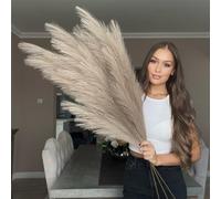 VOULUX Extra Large Tall Taupe Fake Faux Artificial Pampas Grass Large Fluffy x3 115cm Stems x18 Decorative Artificial Flora Feathers For Floor Vases Tall Taupe Plant Flowers Long Pampas Grass