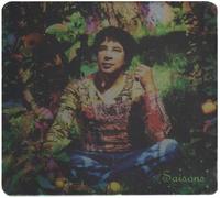 Voulzy, Laurent - Saisons:Le Double Best De