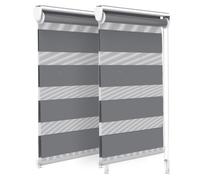 VOUNOT Set of 2 Zebra Roller Blind Double Fabric, Day and Night Translucent or Blackout Vision Curtains, Grey, 45 x 150 cm