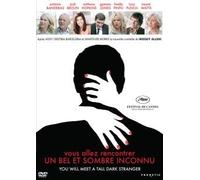 Vous Allez Rencontrer un Bel et Sombre