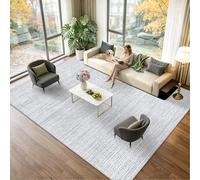Voxirum Extra Large Room Rug Washable Non Slip Lounge Area Rugs Bedroom Bedside Large Carpet Office Dining Rooms Hall Indoor Carpets Modern Bedroom Carpet Traditional Geometric Rug Gray 40 x 60cm