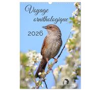 Voyage ornithologique (Calendrier mural 2027 DIN A3 horizontal), CALVENDO calendrier mensuel: Un calendrier fascinant qui vous fait explorer, mois ... la diversité des oiseaux à travers le monde.
