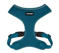 Voyager Aerolite No Pull Mesh Dog Harness with Lightweight, Soft, Breathable, Reflective Stitching, and Adjustable Straps for Walking, Running, Training, Heavy Duty and Durable - Turquoise, M