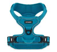 Voyager Dog Harness Dual Leash Attachment No-Pull Control Adjustable Soft but Strong Pet Harness for Medium and Large Dogs with 3M Reflective Technology - Turquoise, XS (Chest: 13 - 16")