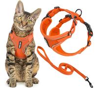 Voyager Escape Proof Cat Harness and Leash Set with Reflective Stitching, Neoprene Handle 5ft - Supports Small, Medium and Large Cats, Kittens for Walking by Best Pet Supplies - Orange, XS