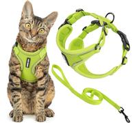 Voyager Escape Proof Cat Harness and Leash Set with Reflective Stitching, Neoprene Handle 5ft - Supports Small, Medium and Large Cats, Kittens for Walking by Best Pet Supplies - Lime, XS