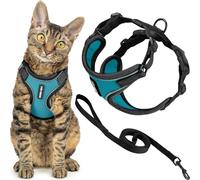 Voyager Escape Proof Cat Harness and Leash Set with Reflective Stitching, Neoprene Handle 5ft - Supports Small, Medium and Large Cats, Kittens for Walking by Best Pet Supplies - BT-Turquoise, XXXS