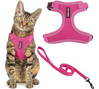 Voyager Escape Proof Cat Harness and Leash Set with Reflective Stitching, Neoprene Handle 5ft - Supports Small, Medium and Large Cats, Kittens for Walking by Best Pet Supplies - Fuchsia, S