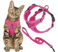 Voyager Escape Proof Cat Harness and Leash Set with Reflective Stitching, Neoprene Handle 5ft - Supports Small, Medium and Large Cats, Kittens for Walking by Best Pet Supplies - Fuchsia, XS