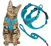 Voyager Escape Proof Cat Harness and Leash Set with Reflective Stitching, Neoprene Handle 5ft - Supports Small, Medium and Large Cats, Kittens for Walking by Best Pet Supplies - Turquoise, XXXS