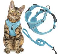 Voyager Escape Proof Cat Harness and Leash Set with Reflective Stitching, Neoprene Handle 5ft - Supports Small, Medium and Large Cats, Kittens for Walking by Best Pet Supplies - Baby Blue, XXS