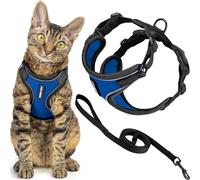 Voyager Escape Proof Cat Harness and Leash Set with Reflective Stitching, Neoprene Handle 5ft - Supports Small, Medium and Large Cats, Kittens for Walking by Best Pet Supplies - BT-Royal Blue, S