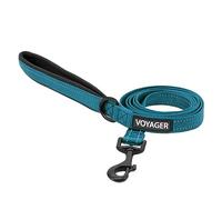 Voyager Reflective Dog Leash with Neoprene Handle, 5ft Long, Supports Small, Medium, and Large Breed Puppies, Cute and Heavy Duty for Walking, Running, and Training - Turquoise (Leash), M