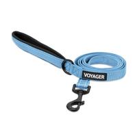 Voyager Reflective Dog Leash with Neoprene Handle, 5ft Long, Supports Small, Medium, and Large Breed Puppies, Cute and Heavy Duty for Walking, Running, and Training - Baby Blue (Leash), M