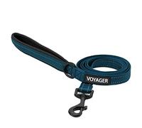Voyager Reflective Dog Leash with Neoprene Handle, 6ft Long, Supports Small, Medium, and Large Breed Puppies, Cute and Heavy Duty for Walking, Running, and Training - Blue, L
