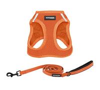 Voyager Step-in Air All Weather Mesh Harness and Reflective Dog 5 ft Leash Combo with Neoprene Handle, for Small, Medium and Large Breed Puppies by Best Pet Supplies - Harness Leash Set (Orange), XS