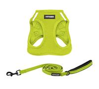 Voyager Step-in Air All Weather Mesh Harness and Reflective Dog 5 ft Leash Combo with Neoprene Handle, for Small, Medium and Large Breed Puppies by Best Pet Supplies - Set (Lime Green), L
