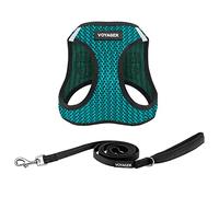 Voyager Step-in Air All Weather Mesh Harness and Reflective Dog 5 ft Leash Combo with Neoprene Handle, for Small, Medium and Large Breed Puppies by Best Pet Supplies - Turquoise (2-Tone), XS