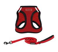Voyager Step-in Air All Weather Mesh Harness and Reflective Dog 5 ft Leash Combo with Neoprene Handle, for Small, Medium and Large Breed Puppies by Best Pet Supplies - Red/Black Trim, Medium