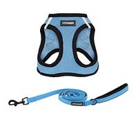 Voyager Step-in Air All Weather Mesh Harness and Reflective Dog 5 ft Leash Combo with Neoprene Handle, for Small, Medium and Large Breed Puppies by Best Pet Supplies - Baby Blue/Black Trim, Small