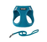 Voyager Step-in Air Cat Leash Harness Set - All Weather Mesh, Step in Vest Harness for Small and Large Cats by Best Pet Supplies - Turquoise, M (Chest 15-17")