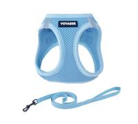 Voyager Step-In Air Dog Harness - All Weather Mesh, Reflective, No Pull Harness for Small, Medium Dogs, Cats - Secure with Hook & Loop Fastener, Buckle, Double D-Rings - Baby Blue, XXS