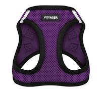 Voyager Step-in Air Dog Harness - All Weather Mesh, Reflective, No Pull Harness for Small, Medium Dogs, Cats - Secure with Hook & Loop Fastener, Buckle, Double D-Rings - Purple/Black Trim, M