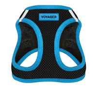 Voyager Step-in Air Dog Harness - All Weather Mesh Step in Vest Harness for Small and Medium Dogs by Best Pet Supplies - Blue Trim, XS