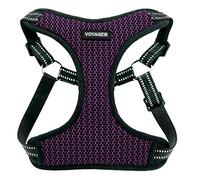 Voyager Step-in Flex Dog Harness - All Weather Mesh, Step in Adjustable Harness for Small and Medium Dogs by Best Pet Supplies - Purple Base, X-Small, Model:213-PUB-XS