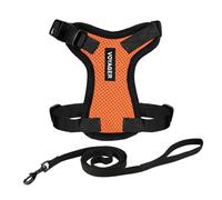 Voyager Step-in Lock Adjustable Cat Harness w. Cat Leash Combo Set with Neoprene Handle 5ft - Supports Small, Medium and Large Breed Cats by Best Pet Supplies - Orange/Black Trim, S