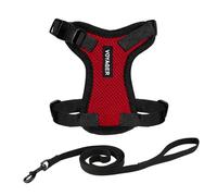 Voyager Step-in Lock Cat Harness and Reflective Cat Leash with Neoprene Handle by Best Pet Supplies - Supports Small, Medium and Large Breed Cats, Red/ Black Trim, size XS - 5ft
