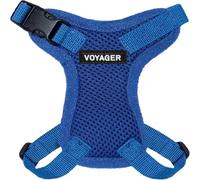 Voyager Step-in Lock Cat Harness and Reflective Cat Leash with Neoprene Handle by Best Pet Supplies - Supports Small, Medium and Large Breed Cats, Royal Blue, size XXS - 5ft