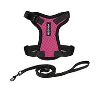Voyager Step-in Lock Cat Harness and Reflective Cat Leash with Neoprene Handle by Best Pet Supplies - Supports Small, Medium and Large Breed Cats, Fuchsia/ Black Trim, size XS - 5ft