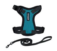 Voyager Step-in Lock Cat Harness and Reflective Cat Leash with Neoprene Handle by Best Pet Supplies - Supports Small, Medium and Large Breed Cats, Turquoise/ Black Trim, size S - 5ft