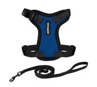 Voyager Step-in Lock Cat Harness and Reflective Cat Leash with Neoprene Handle by Best Pet Supplies - Supports Small, Medium and Large Breed Cats, Royal Blue/ Black Trim, size XS - 5ft