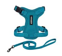 Voyager Step-in Lock Cat Harness and Reflective Cat Leash with Neoprene Handle by Best Pet Supplies - Supports Small, Medium and Large Breed Cats, Turquoise, size S - 5ft