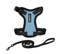 Voyager Step-in Lock Cat Harness and Reflective Cat Leash with Neoprene Handle by Best Pet Supplies - Supports Small, Medium and Large Breed Cats, Baby Blue/Black Trim, size S - 5ft