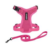 Voyager Step-in Lock Cat Harness and Reflective Cat Leash with Neoprene Handle by Best Pet Supplies - Supports Small, Medium and Large Breed Cats, Fuchsia, size XS - 5ft