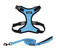 Voyager Step-in Lock Dog Harness w Reflective Dog Leash Combo Set with Neoprene Handle 5ft - Supports Small, Medium and Large Breed Puppies/Cats by Best Pet Supplies - Baby Blue/Black Trim, XS