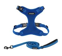 Voyager Step-in Lock Dog Harness w Reflective Dog Leash Combo Set with Neoprene Handle 5ft - Supports Small, Medium and Large Breed Puppies/Cats by Best Pet Supplies - Royal Blue, XS